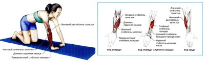 roka_11.jpg